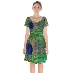 Peacock Feather Macro Peacock Bird Short Sleeve Bardot Dress