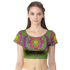 Flowers In Rainbows For Ornate Joy Short Sleeve Crop Top by pepitasart