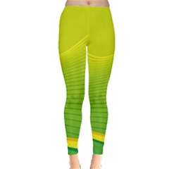 Background Color Fresh Beautiful Leggings  by Simbadda