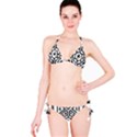 Monastic Antique Scroll Fruit Classic Bikini Set View3