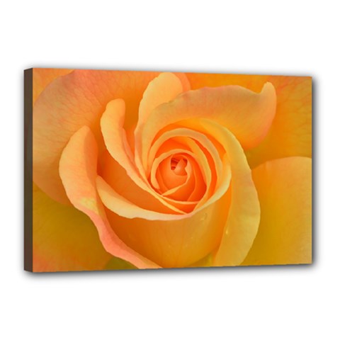 Flower Plant Rose Nature Garden Canvas 18  X 12  (stretched) by Celenk