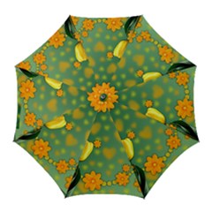 Background Design Texture Tulips Golf Umbrellas by Celenk