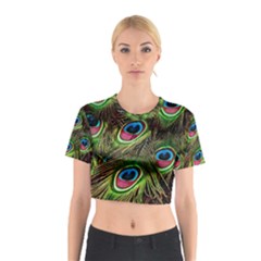 Peacock Feathers Color Plumage Cotton Crop Top by Celenk
