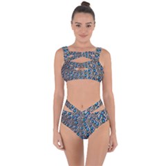 Peacock Pattern Close Up Plumage Bandaged Up Bikini Set  by Celenk