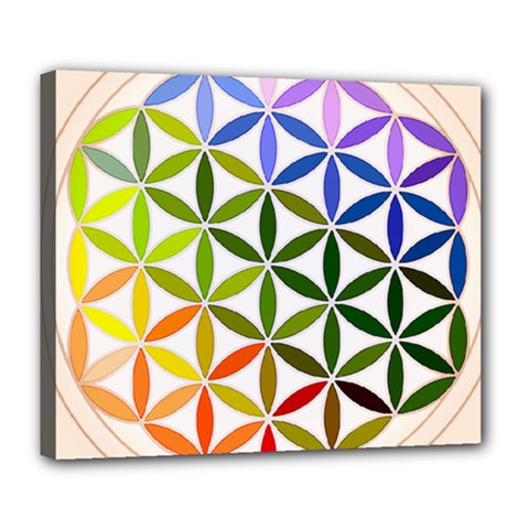 Mandala Rainbow Colorful Reiki Deluxe Canvas 24  X 20  (stretched) by Simbadda