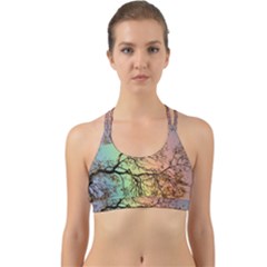 Rainbow Branch Boxer Shorts Back Web Sports Bra by Simbadda