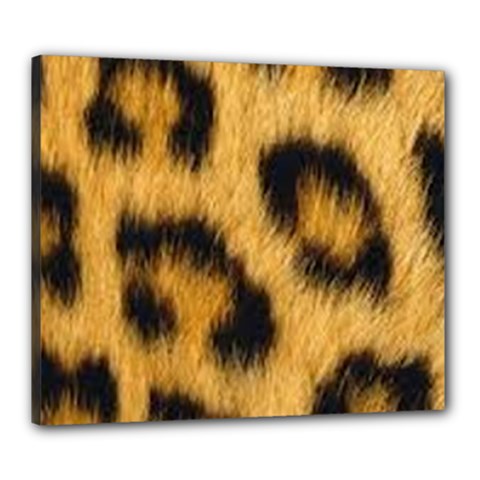 Animal Print Leopard Canvas 24  X 20  (stretched) by NSGLOBALDESIGNS2