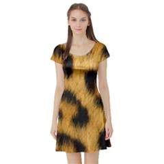 Animal Print Leopard Short Sleeve Skater Dress by NSGLOBALDESIGNS2