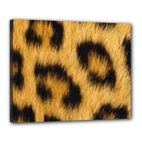 Animal Print 3 Canvas 20  X 16  (stretched)