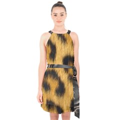 Animal Print 3 Halter Collar Waist Tie Chiffon Dress by NSGLOBALDESIGNS2