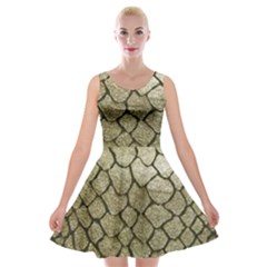 Snake Print Velvet Skater Dress by NSGLOBALDESIGNS2