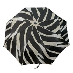 Zebra Print Folding Umbrellas by NSGLOBALDESIGNS2