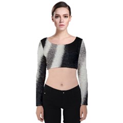 Stella Animal Print Velvet Long Sleeve Crop Top by NSGLOBALDESIGNS2