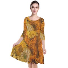 Yellow Zinnias Quarter Sleeve Waist Band Dress by bloomingvinedesign