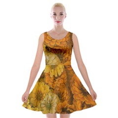 Yellow Zinnias Velvet Skater Dress by bloomingvinedesign
