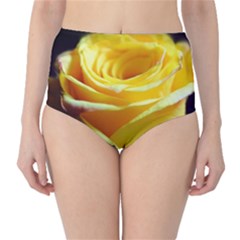 Soft Yellow Rose Classic High-waist Bikini Bottoms