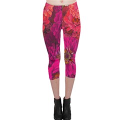 Pink Zinnias Capri Leggings  by bloomingvinedesign