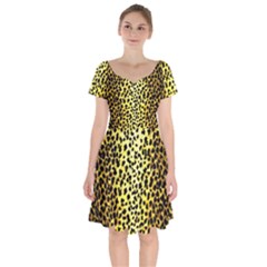 Leopard 1 Leopard A Short Sleeve Bardot Dress