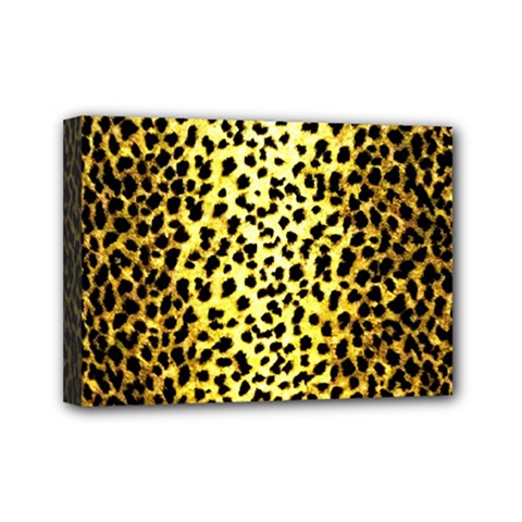 Leopard 1 Leopard A Mini Canvas 7  x 5  (Stretched)