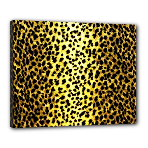 Leopard 1 Leopard A Canvas 20  x 16  (Stretched)