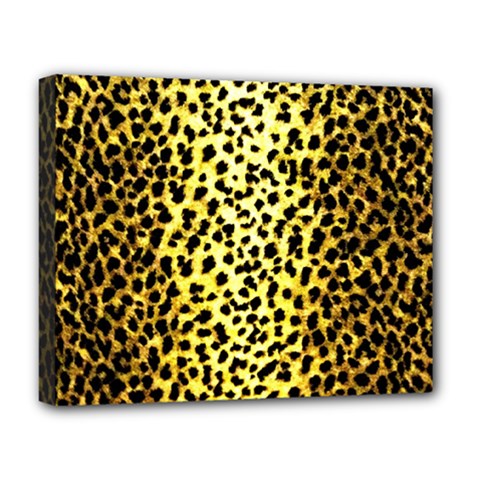 Leopard 1 Leopard A Deluxe Canvas 20  x 16  (Stretched)