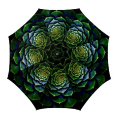 Nature Desktop Flora Color Pattern Golf Umbrellas by Nexatart