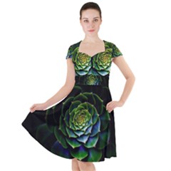 Nature Desktop Flora Color Pattern Cap Sleeve Midi Dress by Nexatart