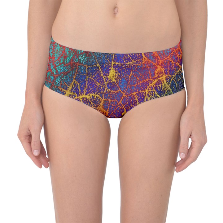 Background Desktop Pattern Abstract Mid-Waist Bikini Bottoms