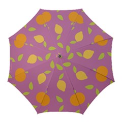 Seamlessly Pattern Fruits Fruit Golf Umbrellas by Nexatart