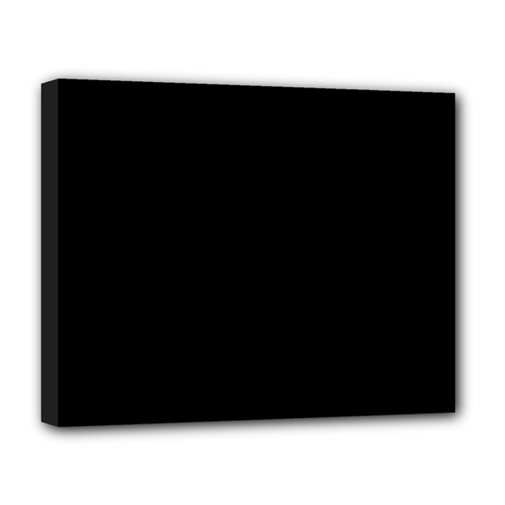 Define Black Deluxe Canvas 20  x 16  (Stretched)