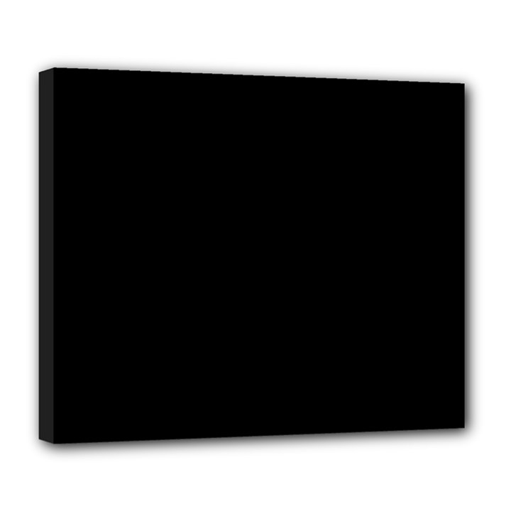 Define Black Deluxe Canvas 24  x 20  (Stretched)