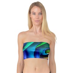 Rainbow Rose 17 Bandeau Top by bloomingvinedesign