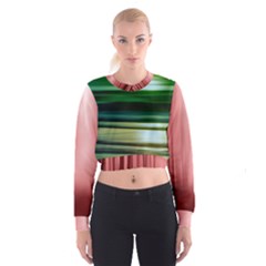 Redforest Greenocean Cropped Sweatshirt