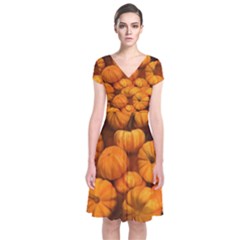Pumpkins Tiny Gourds Pile Short Sleeve Front Wrap Dress by bloomingvinedesign