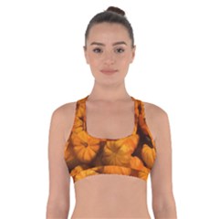 Pumpkins Tiny Gourds Pile Cross Back Sports Bra by bloomingvinedesign