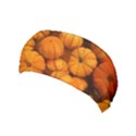 Pumpkins Tiny Gourds Pile Yoga Headband View1