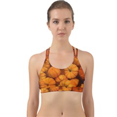 Pumpkins Tiny Gourds Pile Back Web Sports Bra by bloomingvinedesign