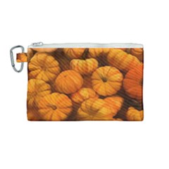 Pumpkins Tiny Gourds Pile Canvas Cosmetic Bag (medium) by bloomingvinedesign