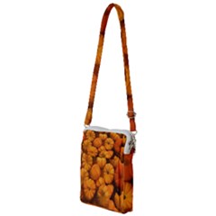 Pumpkins Tiny Gourds Pile Multi Function Travel Bag by bloomingvinedesign