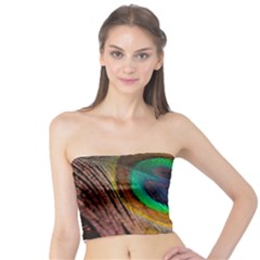 Bird Feather Background Nature Tube Top