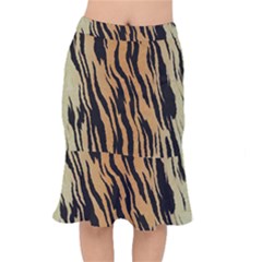 Seamless Pattern Texture Background Mermaid Skirt
