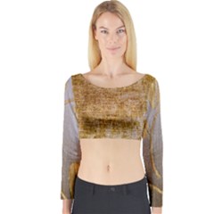 Margery Mix  Long Sleeve Crop Top