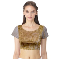 Margery Mix  Short Sleeve Crop Top