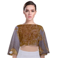 Margery Mix  Tie Back Butterfly Sleeve Chiffon Top