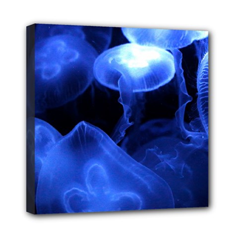 Jellyfish Sea Diving Sea Animal Mini Canvas 8  X 8  (stretched) by Sapixe