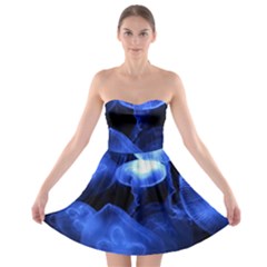 Jellyfish Sea Diving Sea Animal Strapless Bra Top Dress by Sapixe