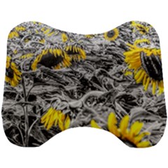 Sunflower Field Girasol Sunflower Head Support Cushion