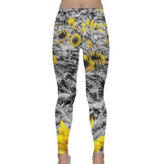 Sunflower Field Girasol Sunflower Lightweight Velour Classic Yoga Leggings