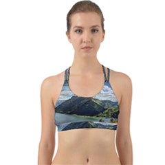 Panoramic Nature Mountain Water Back Web Sports Bra by Sapixe