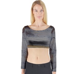 Acid Long Sleeve Crop Top